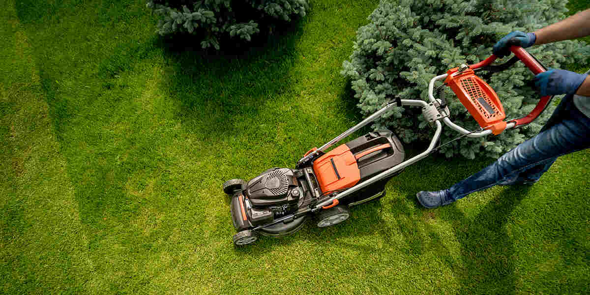 Professional lawn mowing service in Van Buren and Fort Smith AR