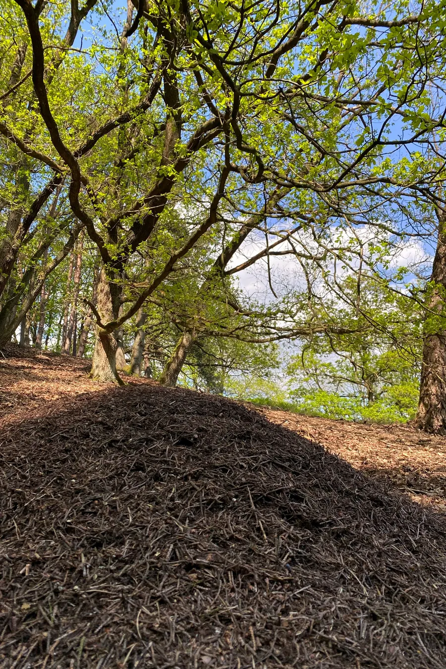 Mulch installation and landscaping in the River Valley Arkansas area