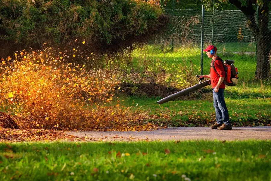 Spring and fall lawn cleanup service in Van Buren, Alma, and Kibler AR